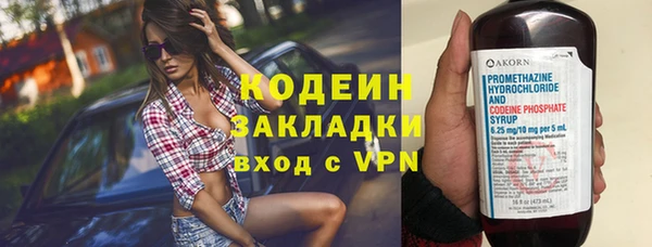 шишки Гусев