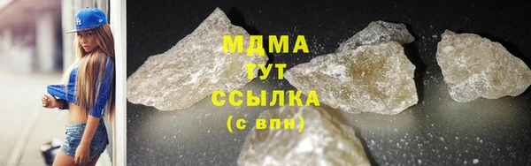 шишки Гусев