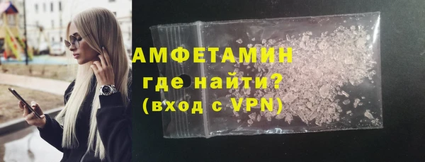 шишки Гусев