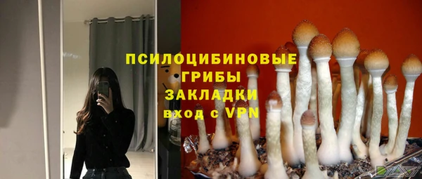 шишки Гусев