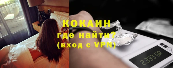 шишки Гусев