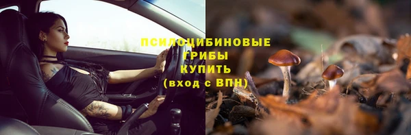бутират Гусь-Хрустальный