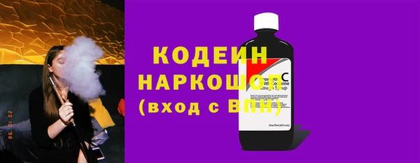 шишки Гусев