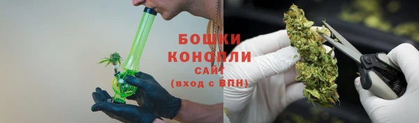 шишки Гусев