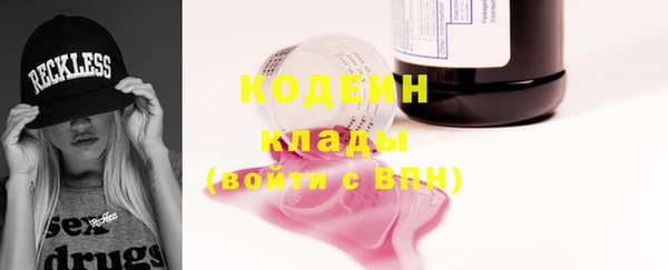 шишки Гусев