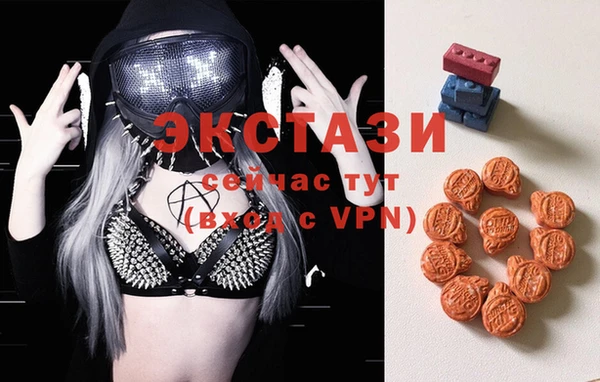 шишки Гусев