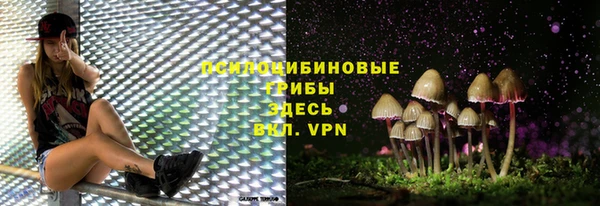 шишки Гусев