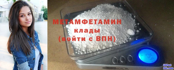 шишки Гусев