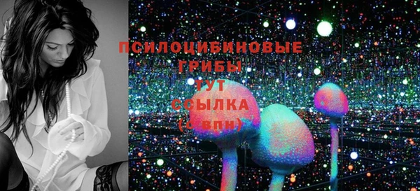 бутират Гусь-Хрустальный