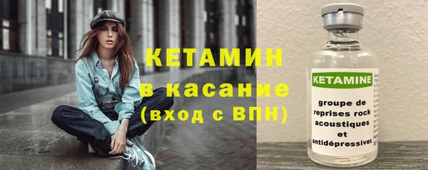 шишки Гусев